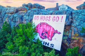 Atkins AR | Go Hogs Go